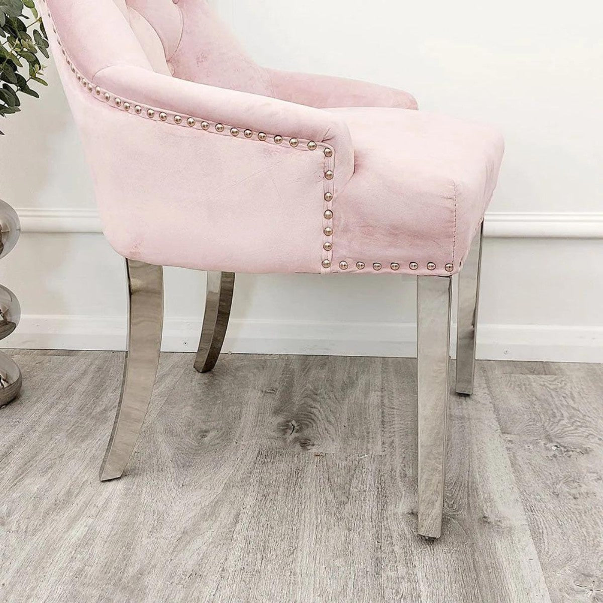 Megan Dining Chair with Lion Knocker & Plain Back - Pink, Cream, Grey - Furniture Network